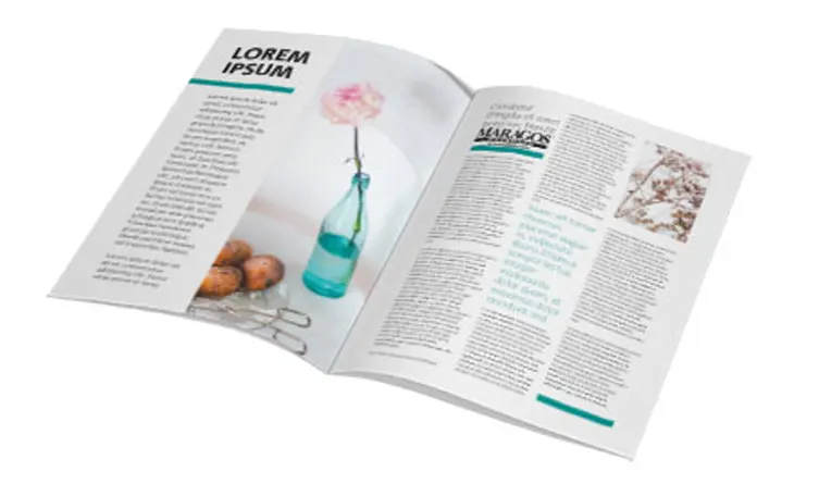 Μπροσούρες ή έντυπα με καρφίτσα, είναι κυρίως πολυσέλιδα έντυπα δεμένα με καρφίτσα. | MARAGOS